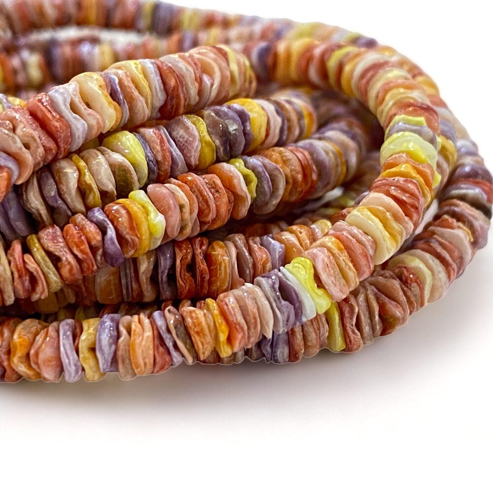 4151 ABCGEMS Gigantic Royal Pectin Scallop Shell Beads from Pacific Ocean